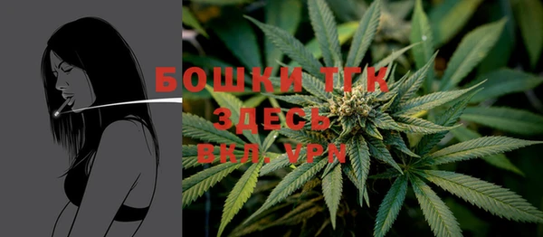 гашик Карталы