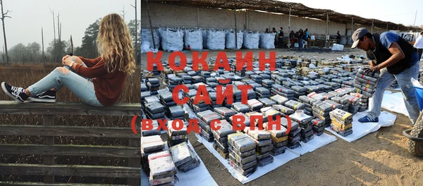 дживик Касимов
