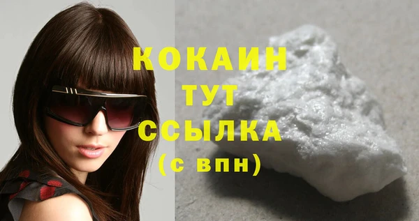 дживик Касимов