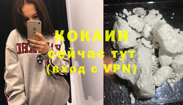 гашик Карталы