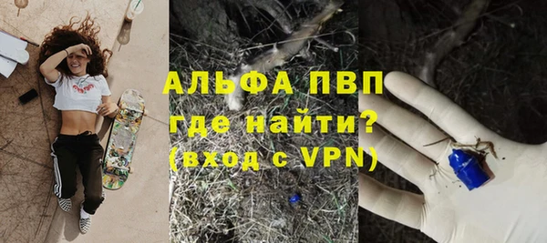 дживик Касимов
