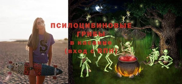 дживик Касимов