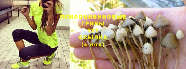 COCAINE Карпинск