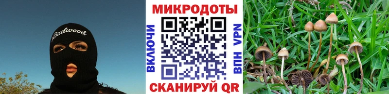 Купить  Наро-Фоминск  Псилоцибиновые грибы GOLDEN TEACHER 